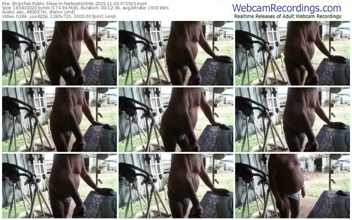 stripchat-herbie010666-11-09-2025-07-25-15