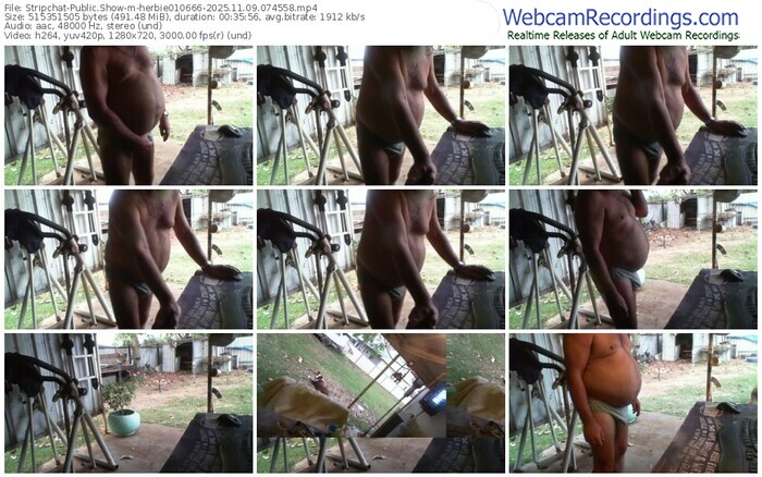 stripchat-herbie010666-11-09-2025-07-45-58