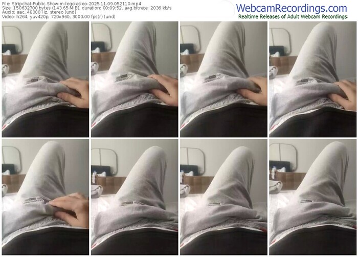 stripchat-legolasleo-11-09-2025-05-21-10