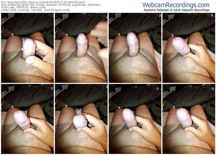 stripchat-minnetird-11-09-2025-09-16-30