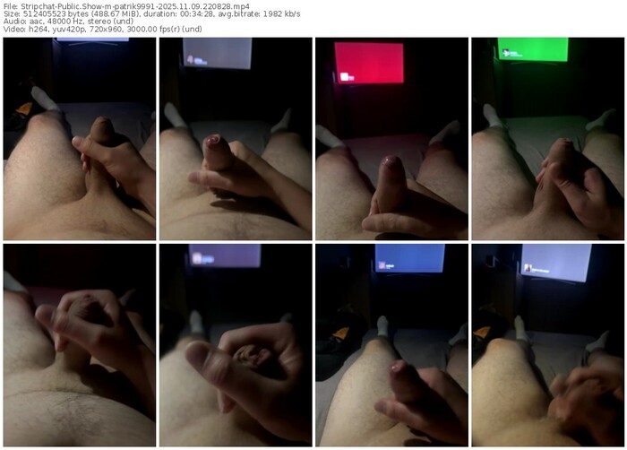 stripchat-patrik9991-11-09-2025-22-08-28