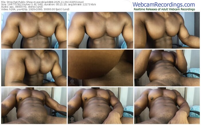 stripchat-pecsblack888-11-09-2025-19-20-53