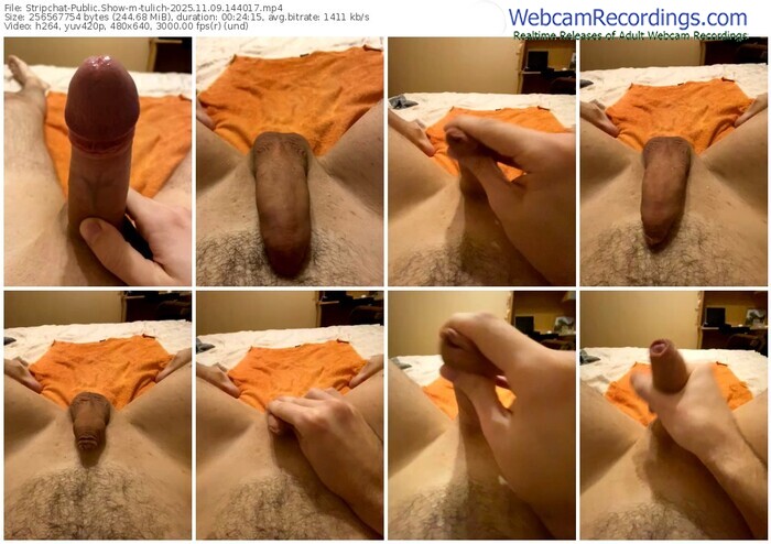 stripchat-tulich-11-09-2025-14-40-17