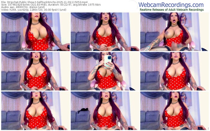 stripchat-selfsuck9inchs-11-09-2025-11-50-53