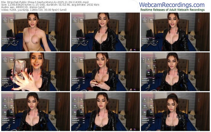 stripchat-sexfucktorylily-11-09-2025-11-43-01