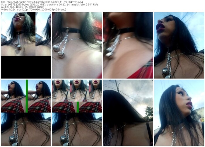 stripchat-kattaleya993-11-09-2025-10-47-32