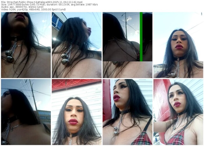 stripchat-kattaleya993-11-09-2025-11-11-42