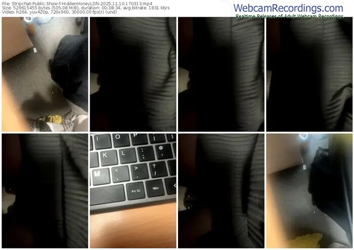 stripchat-hiddenhoneyldn-11-10-2025-17-03-13
