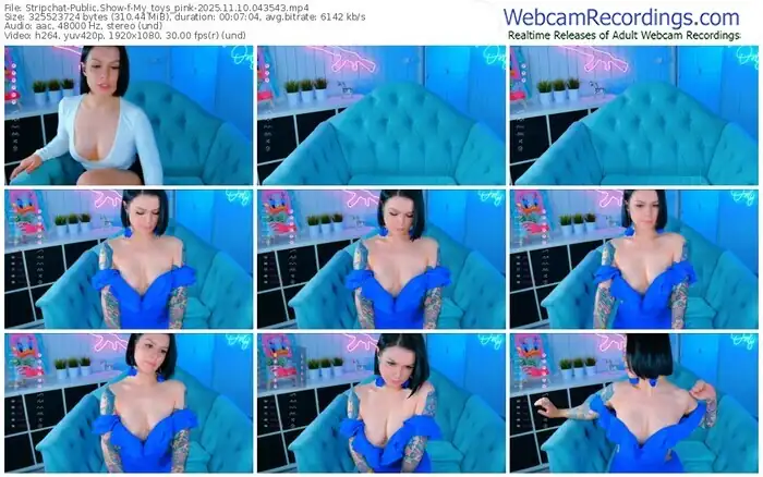 stripchat-my_toys_pink-11-10-2025-04-35-43