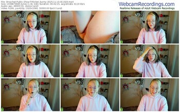 stripchat-r0cket_bunny-11-10-2025-01-18-20