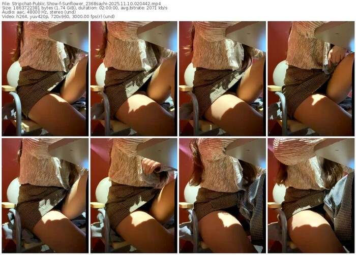 stripchat-sunflower_2368sayhi-11-10-2025-02-04-42