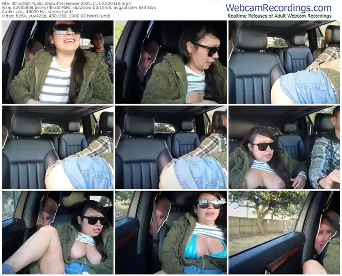 stripchat-vickiebee-11-10-2025-22-04-19