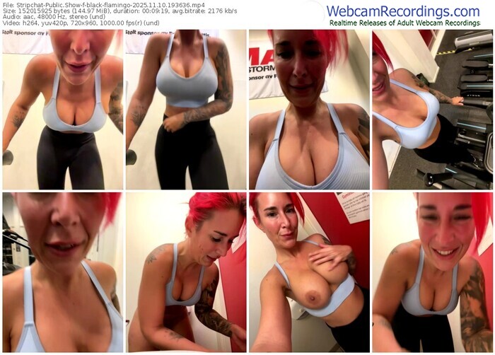 stripchat-black-flamingo-11-10-2025-19-36-36