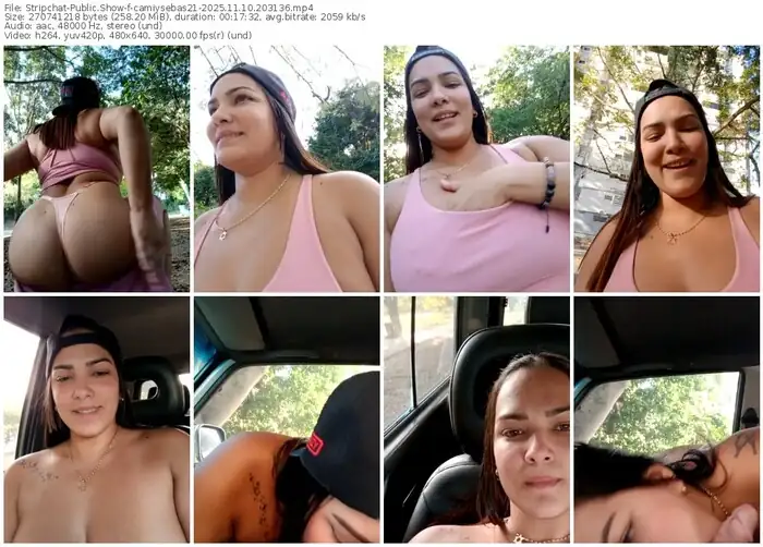 stripchat-camiysebas21-11-10-2025-20-31-36