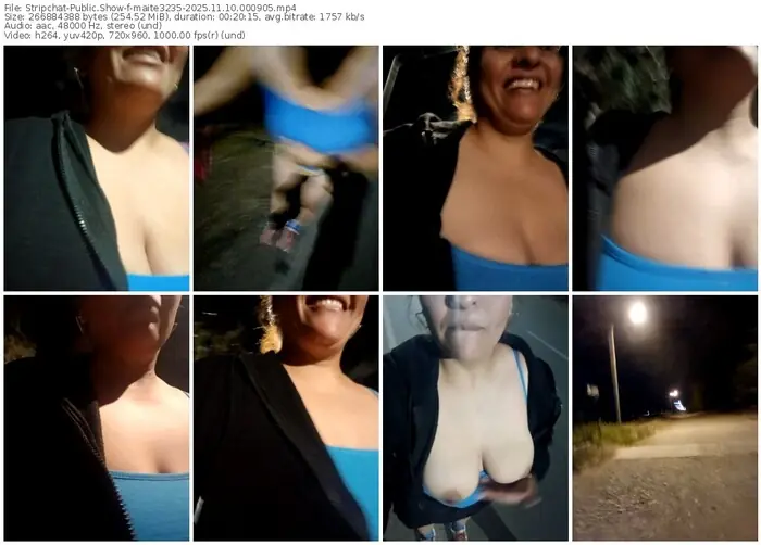 stripchat-maite3235-11-10-2025-00-09-05
