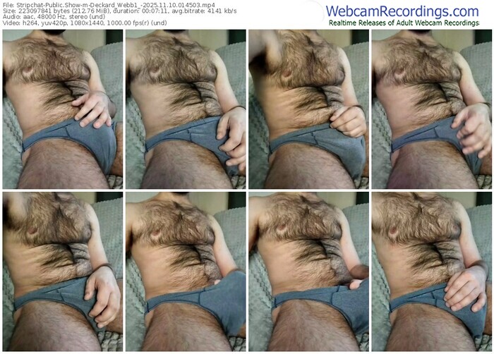 stripchat-deckard_webb1_-11-10-2025-01-45-03