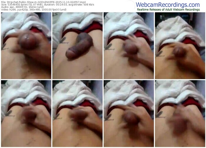 stripchat-godlenorte-11-10-2025-02-45-57