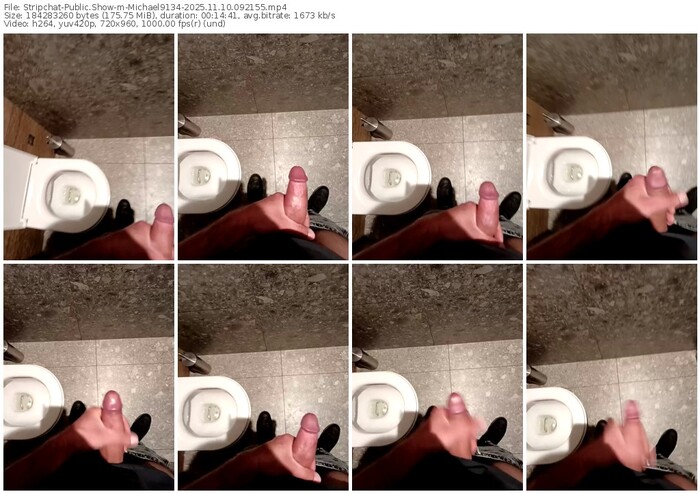 stripchat-michael9134-11-10-2025-09-21-55