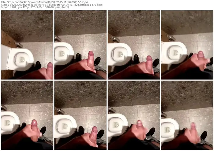 stripchat-michael9134-11-10-2025-09-21-55