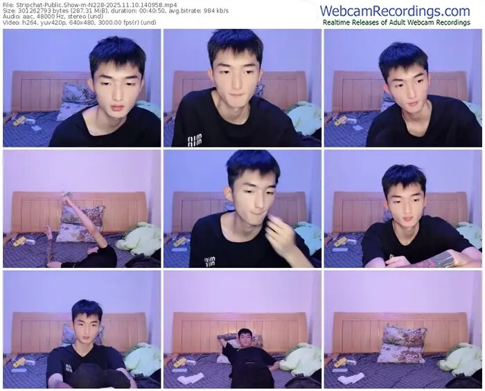 stripchat-n228-11-10-2025-14-09-58