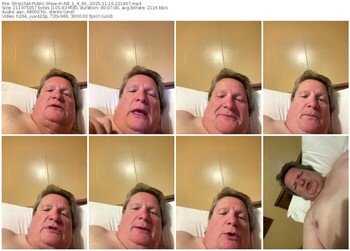 stripchat-ne_1_4_69_-11-10-2025-22-19-07