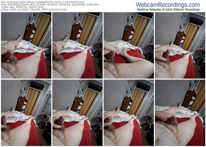 stripchat-nawtyb1965-11-10-2025-03-46-58