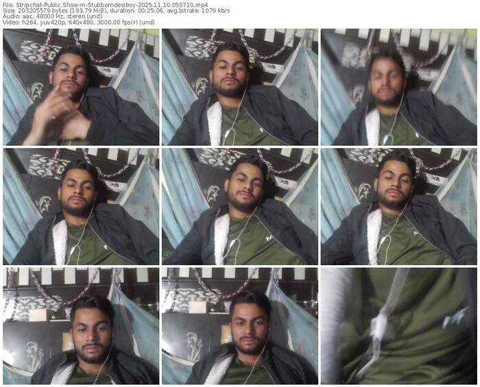 stripchat-stubborndesiboy-11-10-2025-05-07-10