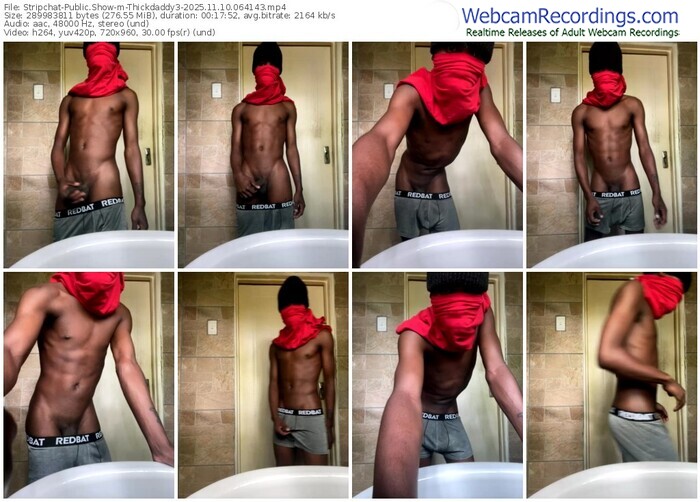 stripchat-thickdaddy3-11-10-2025-06-41-43