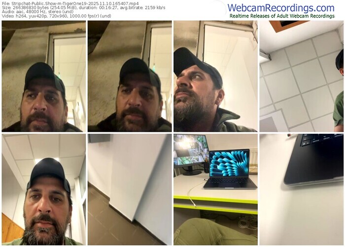 stripchat-tigerone19-11-10-2025-16-54-07