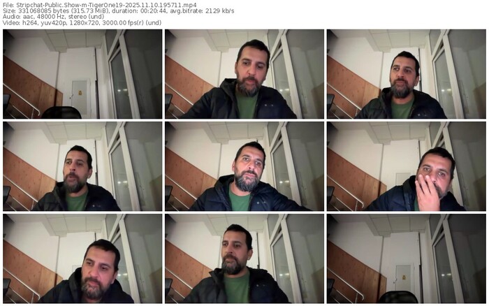 stripchat-tigerone19-11-10-2025-19-57-11