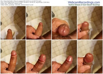 stripchat-pegaso369-11-10-2025-00-07-32