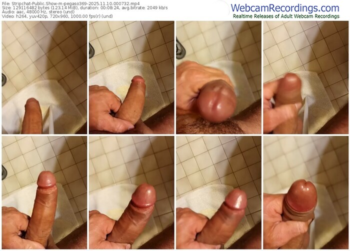 stripchat-pegaso369-11-10-2025-00-07-32