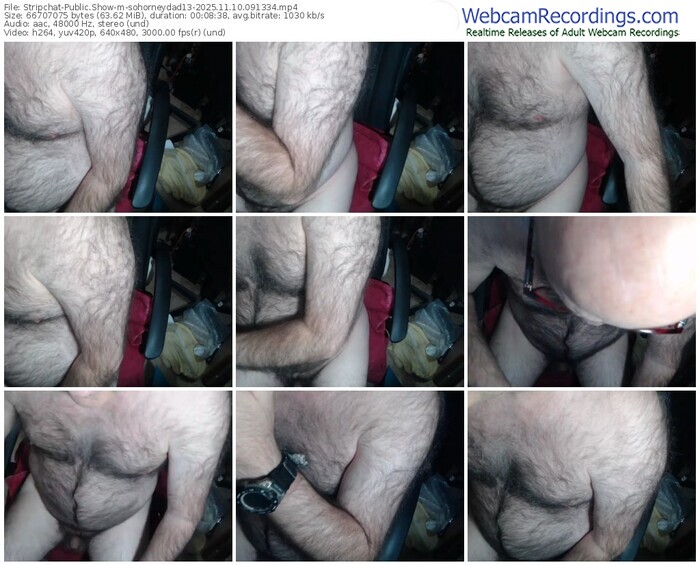 stripchat-sohorneydad13-11-10-2025-09-13-34
