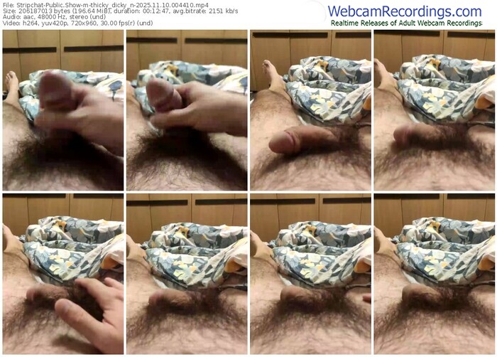 stripchat-thicky_dicky_n-11-10-2025-00-44-10