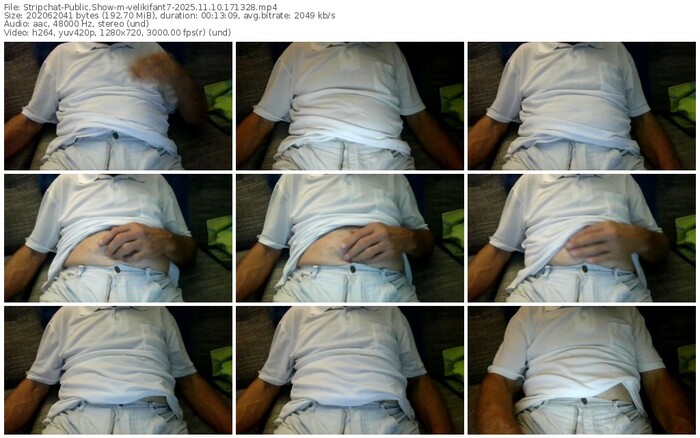 stripchat-velikifant7-11-10-2025-17-13-28