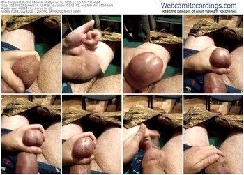 stripchat-vladyslav18_-11-10-2025-10-17-31