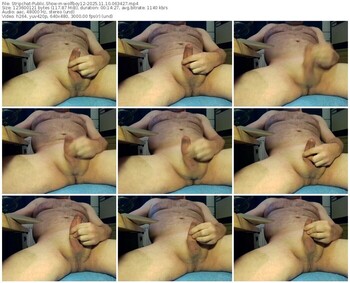 stripchat-wolfboy12-11-10-2025-06-34-27