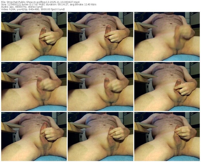 stripchat-wolfboy12-11-10-2025-06-34-27