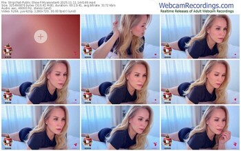 stripchat-myassistant-11-11-2025-14-41-49