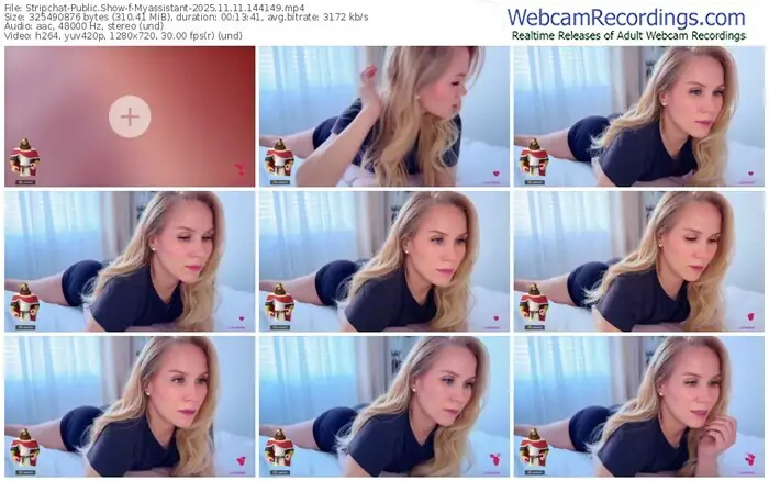 stripchat-myassistant-11-11-2025-14-41-49