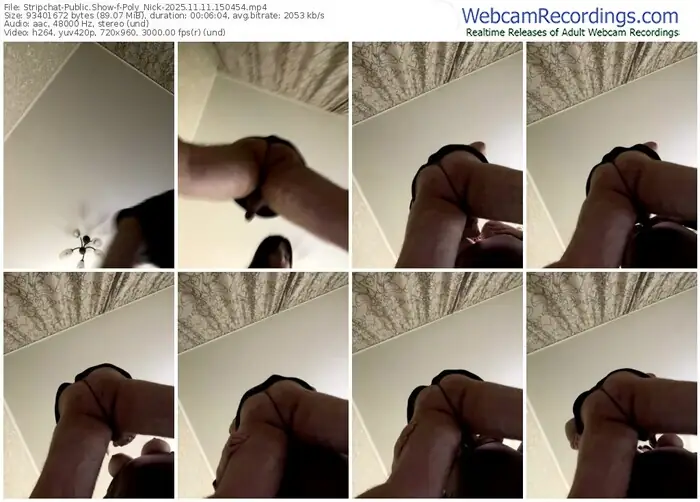 stripchat-poly_nick-11-11-2025-15-04-54