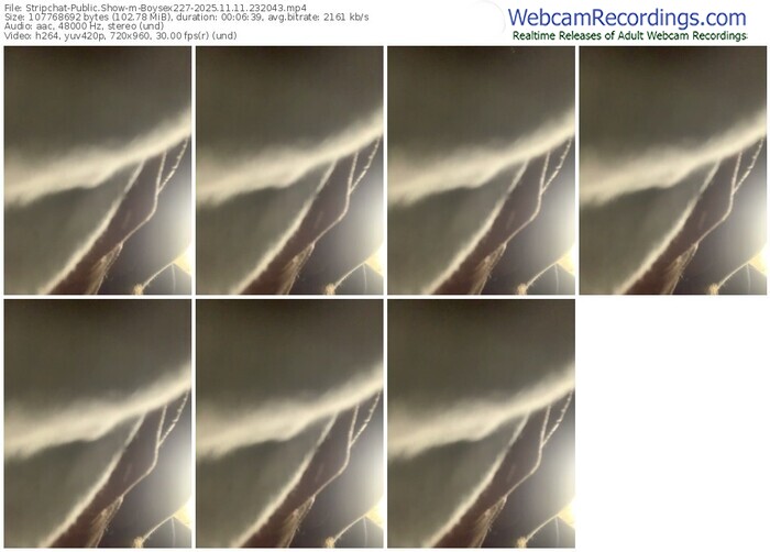 stripchat-boysex227-11-11-2025-23-20-43