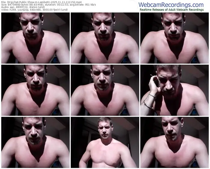 stripchat-lambe91-11-11-2025-11-11-52