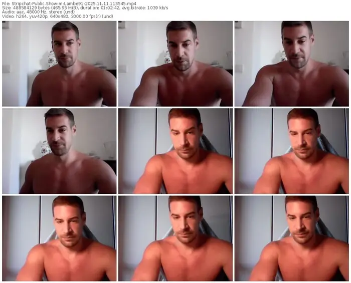 stripchat-lambe91-11-11-2025-11-35-45
