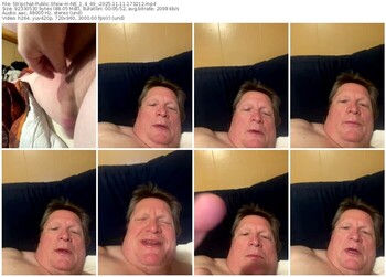 stripchat-ne_1_4_69_-11-11-2025-17-32-12