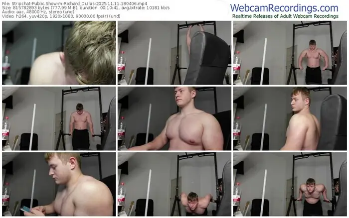 stripchat-richard_dullas-11-11-2025-18-04-06