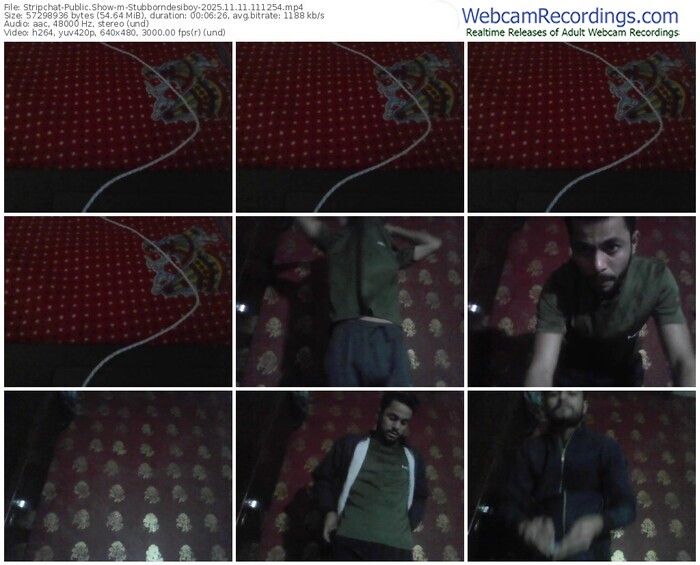 stripchat-stubborndesiboy-11-11-2025-11-12-54