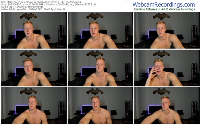 stripchat-thejacob_d-11-11-2025-15-39-25