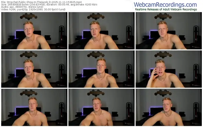 stripchat-thejacob_d-11-11-2025-15-39-25