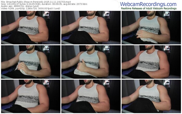 stripchat-frenzis61-11-11-2025-19-17-03